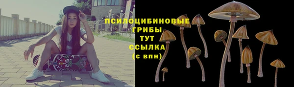 марки nbome Богородицк