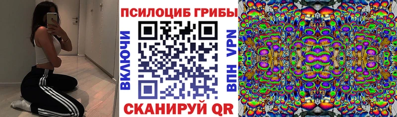 купить закладку  Острогожск  Галлюциногенные грибы Cubensis 